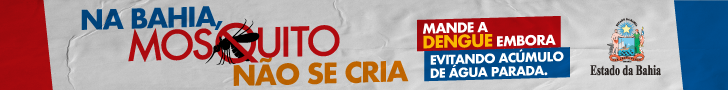 Banner Mosquito da Dengue